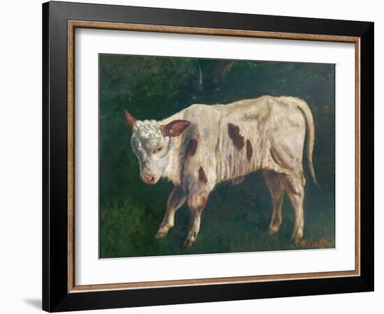 A Calf (Oil on Canvas)-Gustave Courbet-Framed Giclee Print