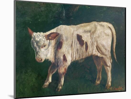 A Calf (Oil on Canvas)-Gustave Courbet-Mounted Giclee Print