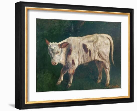 A Calf (Oil on Canvas)-Gustave Courbet-Framed Giclee Print