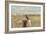 A California Quail on a Fence Post in the Carson Valley of Nevada-John Alves-Framed Photographic Print