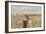 A California Quail on a Fence Post in the Carson Valley of Nevada-John Alves-Framed Photographic Print