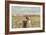 A California Quail on a Fence Post in the Carson Valley of Nevada-John Alves-Framed Photographic Print