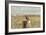 A California Quail on a Fence Post in the Carson Valley of Nevada-John Alves-Framed Photographic Print