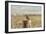 A California Quail on a Fence Post in the Carson Valley of Nevada-John Alves-Framed Photographic Print