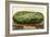 A California Watermelon, on Flatbed Train Car-null-Framed Art Print
