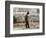 A Cambodian Man Walks Past One of the Many Killing Fields Sites-null-Framed Premium Photographic Print