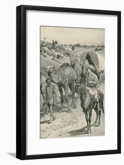 A Camel-Caravan, Western Australia-Walter Stanley Paget-Framed Giclee Print