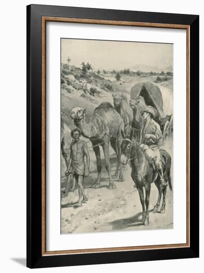 A Camel-Caravan, Western Australia-Walter Stanley Paget-Framed Giclee Print