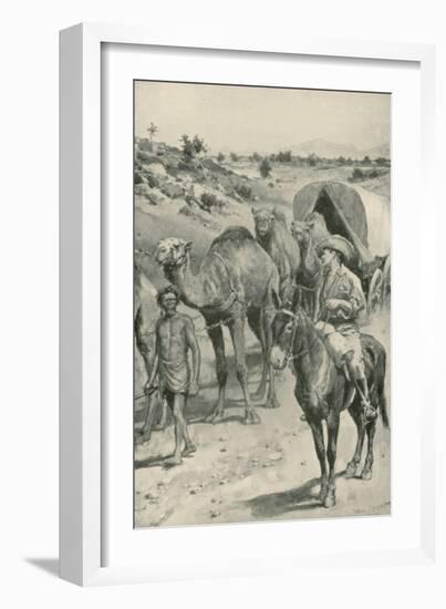 A Camel-Caravan, Western Australia-Walter Stanley Paget-Framed Giclee Print