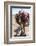 A Camel Just Outside of Marrakesh, Morocco, North Africa, Africa-Charlie Harding-Framed Photographic Print