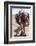 A Camel Just Outside of Marrakesh, Morocco, North Africa, Africa-Charlie Harding-Framed Photographic Print