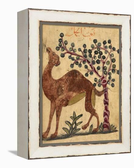 A Camel Passing a Tree-Aristotle ibn Bakhtishu-Framed Premier Image Canvas