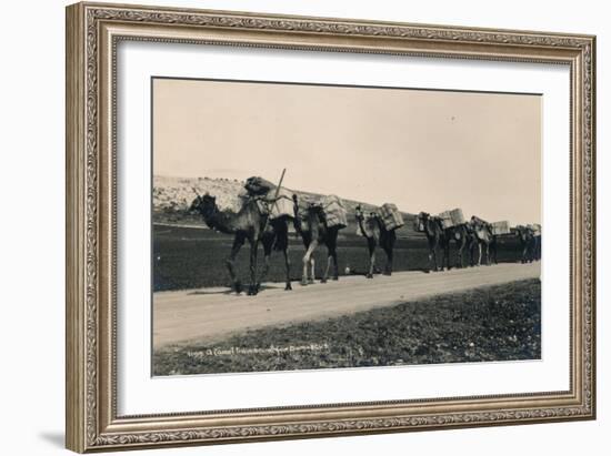 A Camel Train Bound for Damascus, 1936-null-Framed Photographic Print