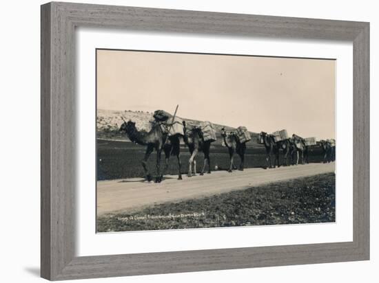 A Camel Train Bound for Damascus, 1936-null-Framed Photographic Print