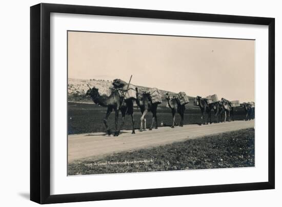 A Camel Train Bound for Damascus, 1936-null-Framed Photographic Print