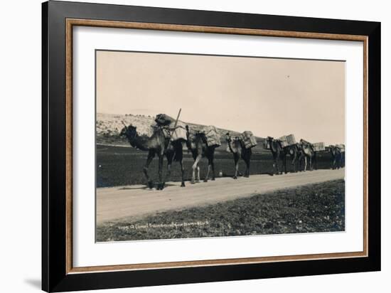 A Camel Train Bound for Damascus, 1936-null-Framed Photographic Print
