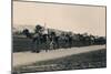 A Camel Train Bound for Damascus, 1936-null-Mounted Photographic Print