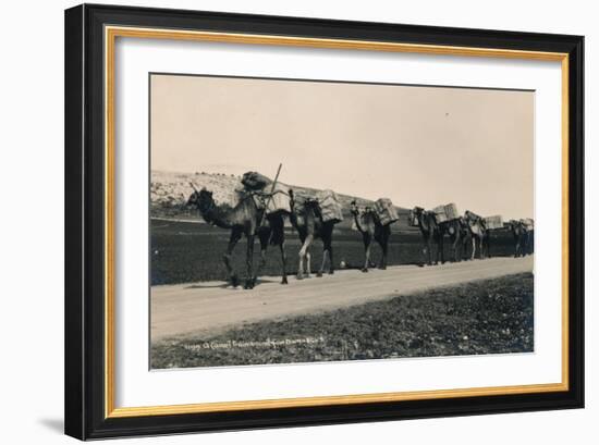 A Camel Train Bound for Damascus, 1936-null-Framed Photographic Print