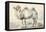 A Camel-Cornelis Saftleven-Framed Premier Image Canvas