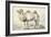 A Camel-Cornelis Saftleven-Framed Giclee Print