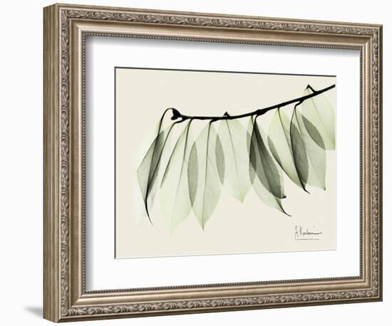 A Camelia Leaf Moment-Albert Koetsier-Framed Art Print