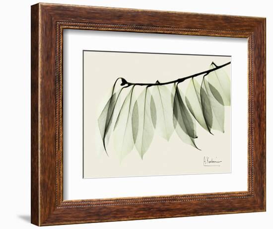 A Camelia Leaf Moment-Albert Koetsier-Framed Art Print