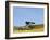 A Cannon at Fort Barrancas, NAS Pensacola Fl.-John Clark-Framed Photographic Print