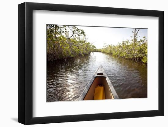 A Canoe in Mangroves, Everglades National Park, Florida-Ian Shive-Framed Photographic Print