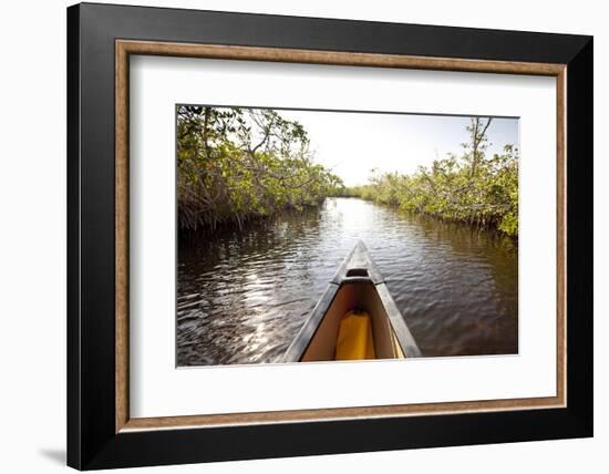 A Canoe in Mangroves, Everglades National Park, Florida-Ian Shive-Framed Photographic Print