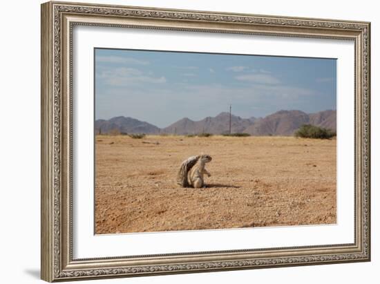 A Cape Ground Squirrel, Xerus Inures, on the Look Out in Solitaire, Namibia-Alex Saberi-Framed Photographic Print