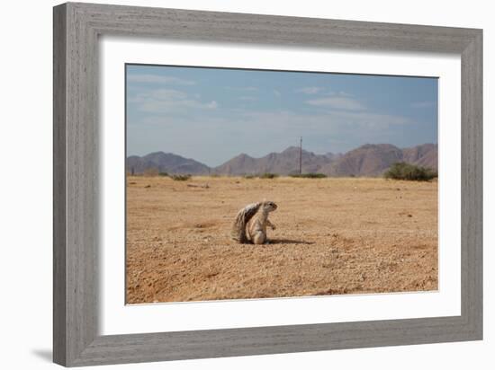 A Cape Ground Squirrel, Xerus Inures, on the Look Out in Solitaire, Namibia-Alex Saberi-Framed Photographic Print