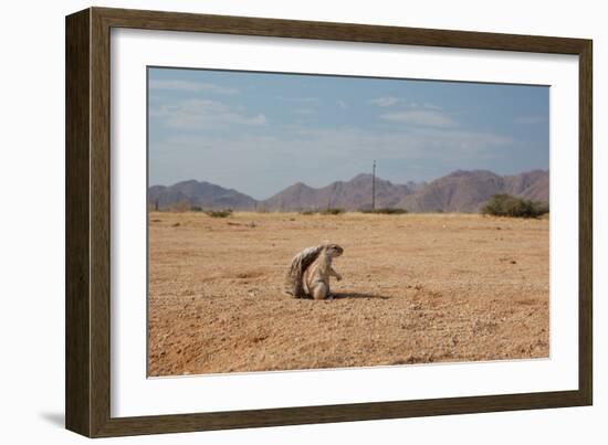 A Cape Ground Squirrel, Xerus Inures, on the Look Out in Solitaire, Namibia-Alex Saberi-Framed Photographic Print