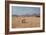 A Cape Ground Squirrel, Xerus Inures, on the Look Out in Solitaire, Namibia-Alex Saberi-Framed Photographic Print