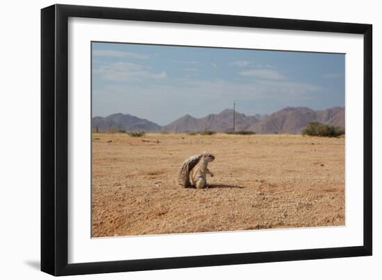 A Cape Ground Squirrel, Xerus Inures, on the Look Out in Solitaire, Namibia-Alex Saberi-Framed Photographic Print