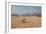 A Cape Ground Squirrel, Xerus Inures, on the Look Out in Solitaire, Namibia-Alex Saberi-Framed Photographic Print