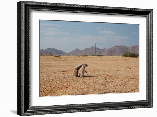 A Cape Ground Squirrel, Xerus Inures, on the Look Out in Solitaire, Namibia-Alex Saberi-Framed Photographic Print