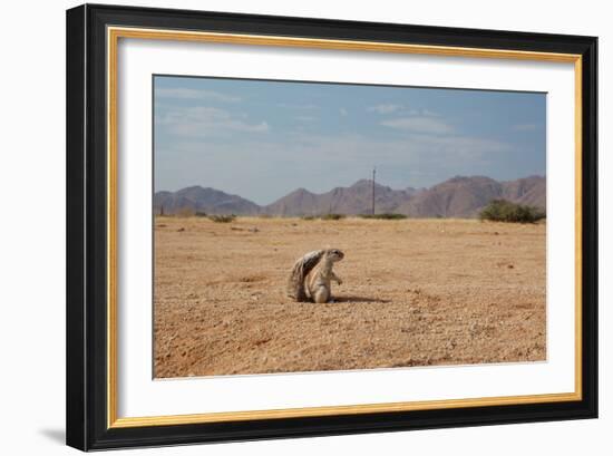 A Cape Ground Squirrel, Xerus Inures, on the Look Out in Solitaire, Namibia-Alex Saberi-Framed Photographic Print