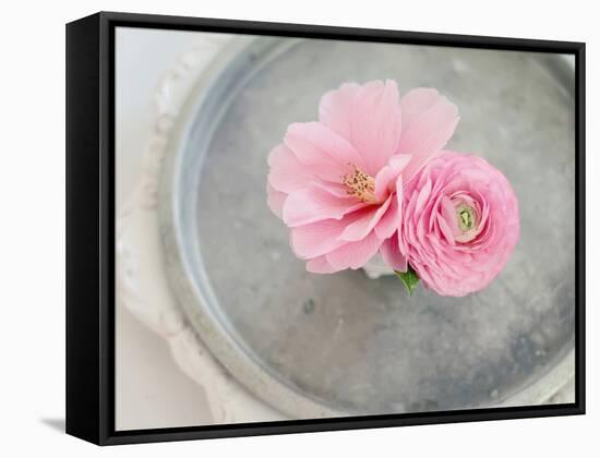 A Captivating Pair-Sarah Gardner-Framed Premier Image Canvas