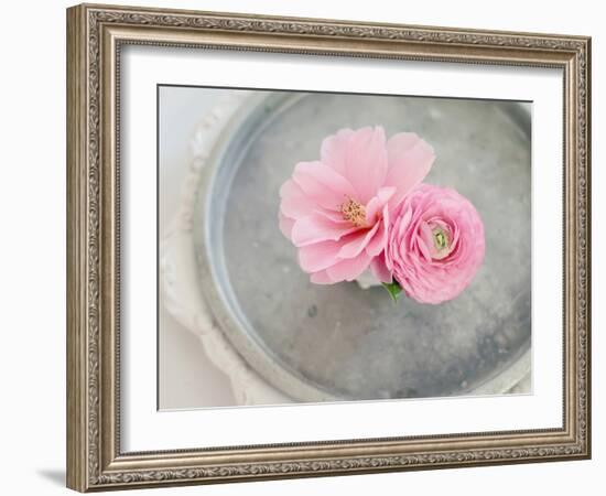 A Captivating Pair-Sarah Gardner-Framed Photographic Print