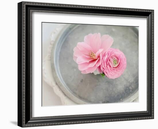 A Captivating Pair-Sarah Gardner-Framed Photographic Print