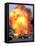 A Car Bomb Explodes-null-Framed Premier Image Canvas