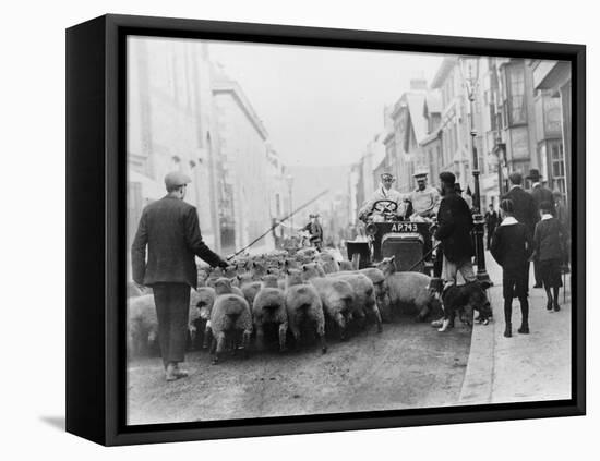 A Car Surrounded by Sheep, Lewes High Street, East Sussex-null-Framed Premier Image Canvas