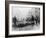 A Car Surrounded by Sheep, Lewes High Street, East Sussex-null-Framed Photographic Print