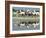 A Caravan of Racing Camels Return from a Morning Training Session-null-Framed Photographic Print