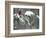 A Cardinal Sits on a Snow-Covered Branch-null-Framed Photographic Print