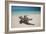 A Caribbean Beach in Cuba's Cayo Largo-Alex Saberi-Framed Photographic Print