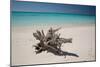 A Caribbean Beach in Cuba's Cayo Largo-Alex Saberi-Mounted Photographic Print