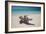 A Caribbean Beach in Cuba's Cayo Largo-Alex Saberi-Framed Photographic Print