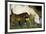 A Caring Disposition-Wild Wonders of Europe-Framed Giclee Print