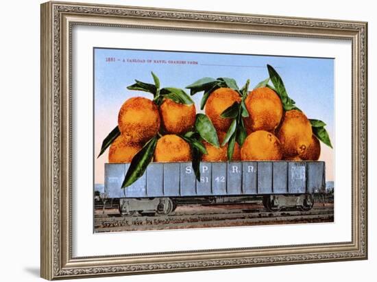 A Carload of Navel Oranges Postcard-null-Framed Giclee Print